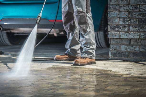 Animal Enclosure Cleaning in Travelers Rest, SC